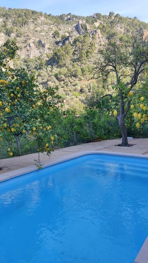 Ca Na Menga Villa Soller Bagian luar foto
