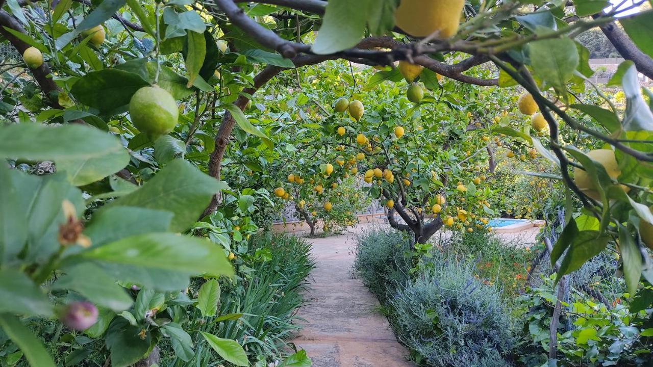 Ca Na Menga Villa Soller Bagian luar foto